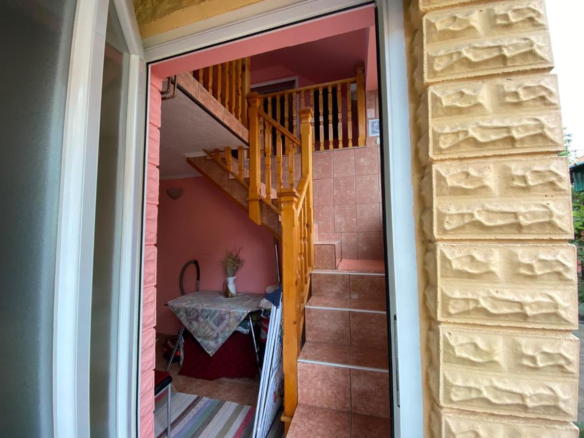 Sud ,,Antal I Olga,, Bed and Breakfast Skorenovac Εξωτερικό φωτογραφία