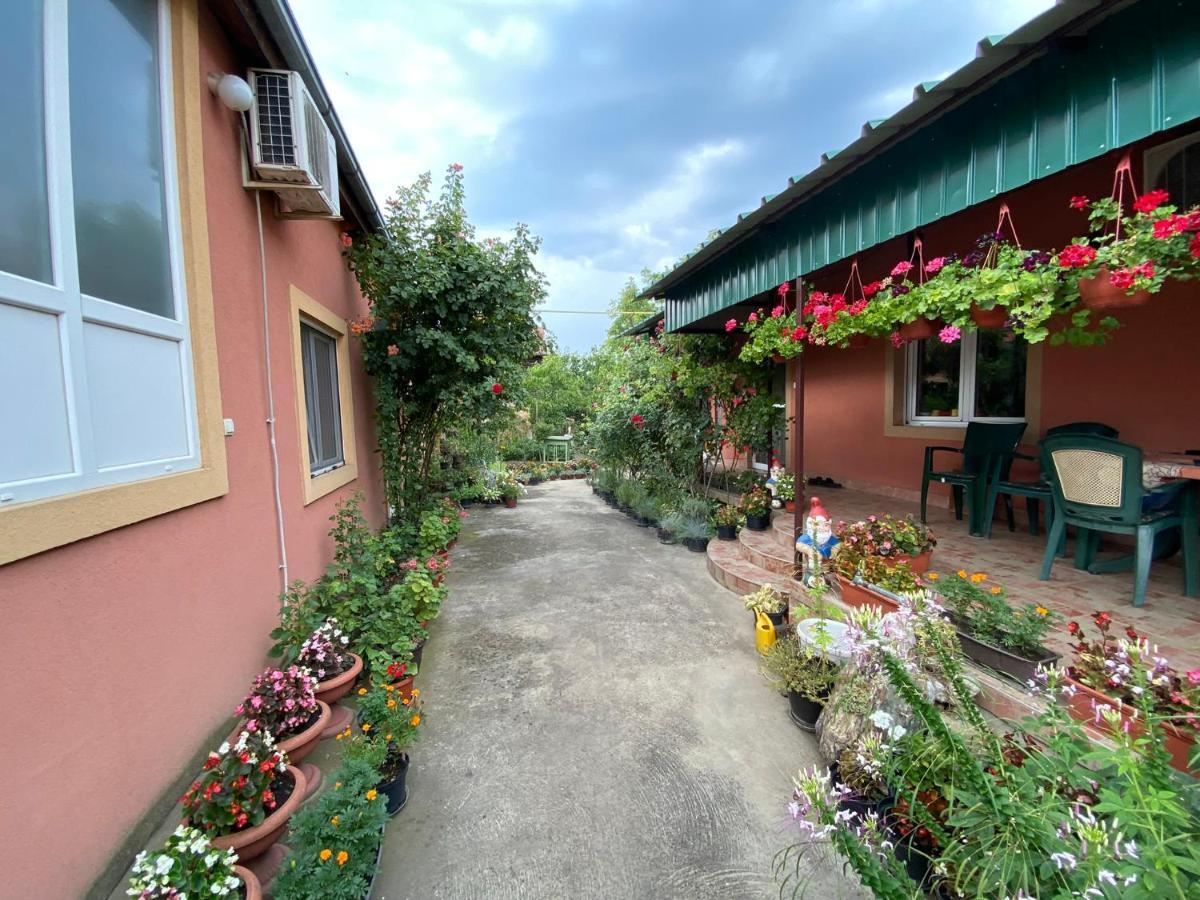 Sud ,,Antal I Olga,, Bed and Breakfast Skorenovac Εξωτερικό φωτογραφία