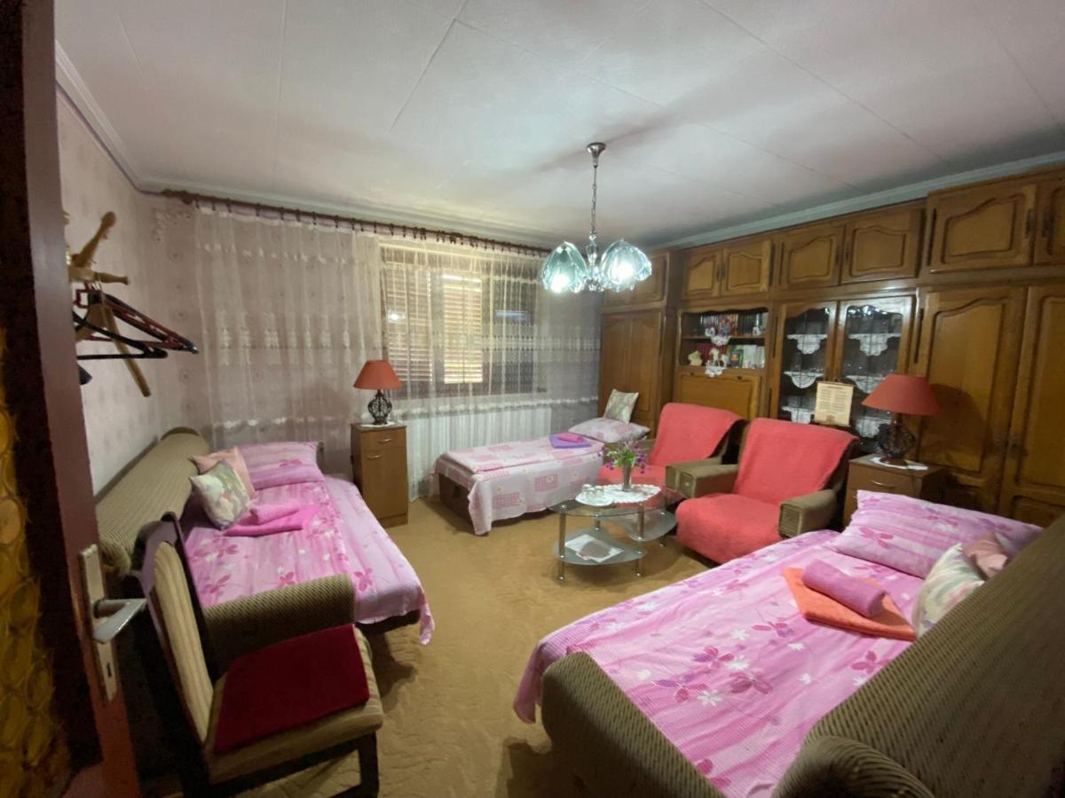 Sud ,,Antal I Olga,, Bed and Breakfast Skorenovac Εξωτερικό φωτογραφία