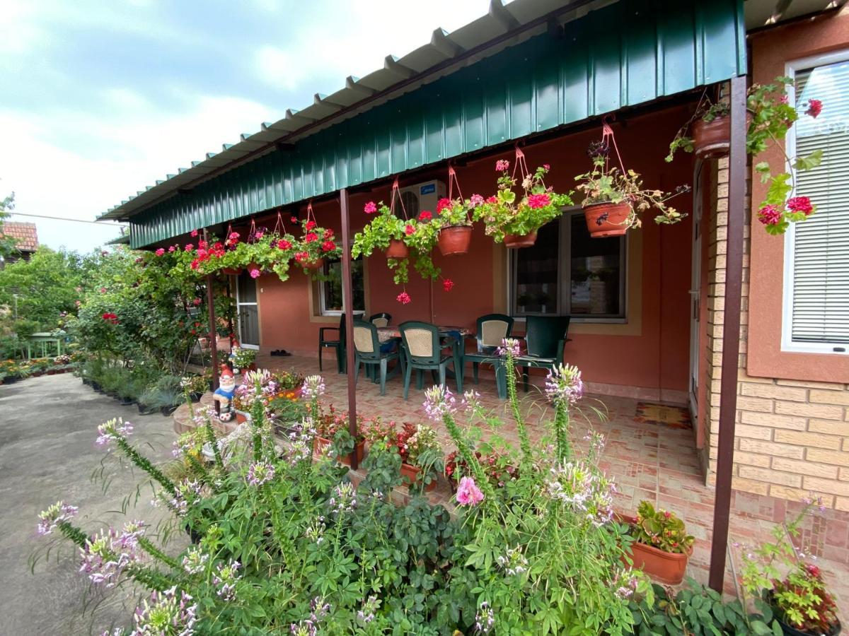 Sud ,,Antal I Olga,, Bed and Breakfast Skorenovac Εξωτερικό φωτογραφία