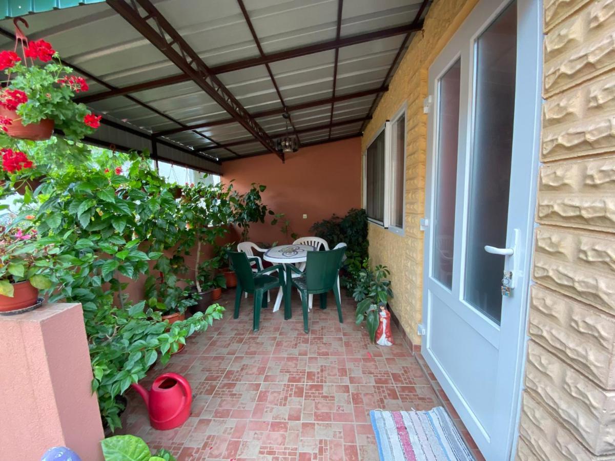 Sud ,,Antal I Olga,, Bed and Breakfast Skorenovac Εξωτερικό φωτογραφία