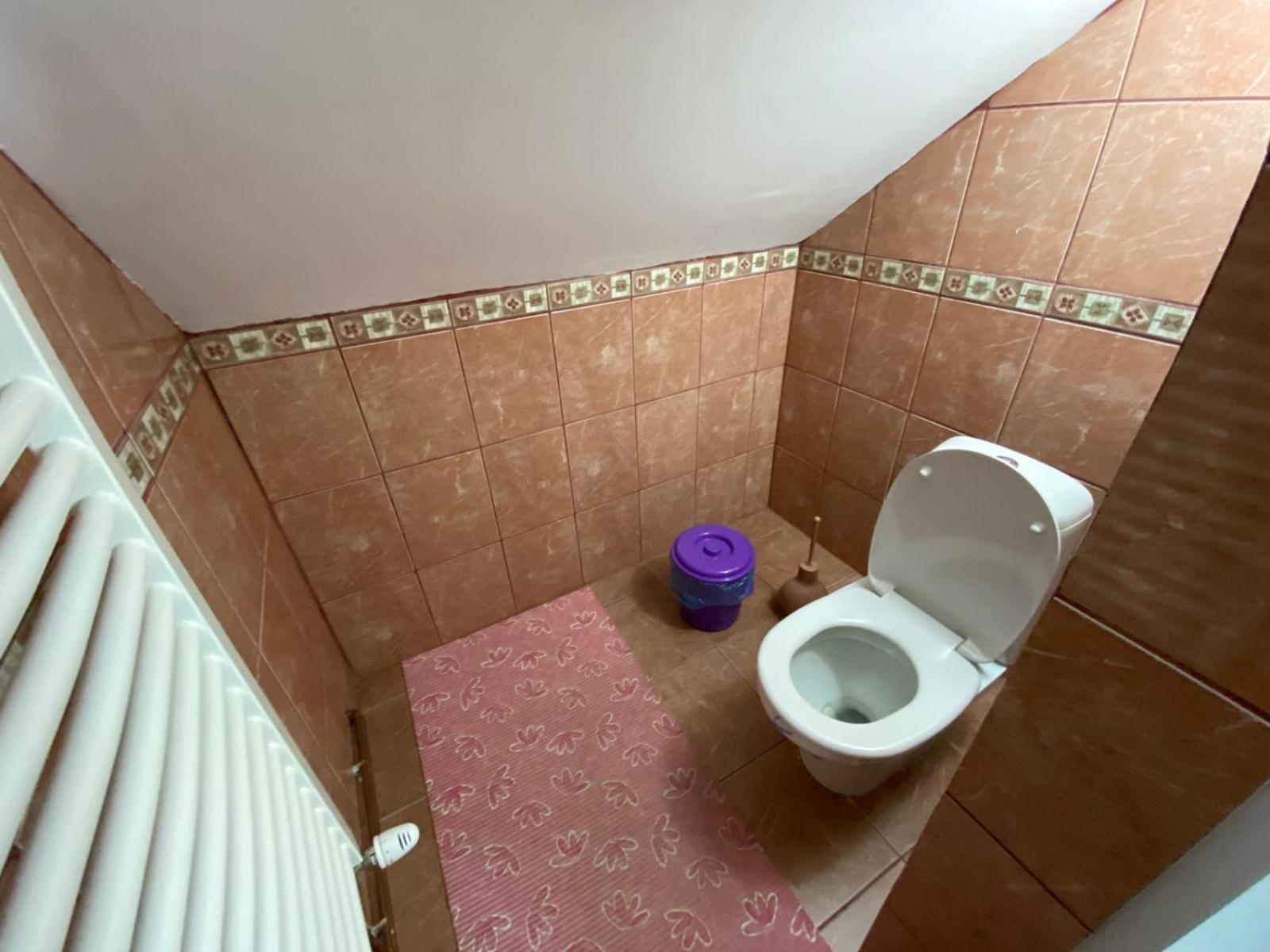 Sud ,,Antal I Olga,, Bed and Breakfast Skorenovac Δωμάτιο φωτογραφία
