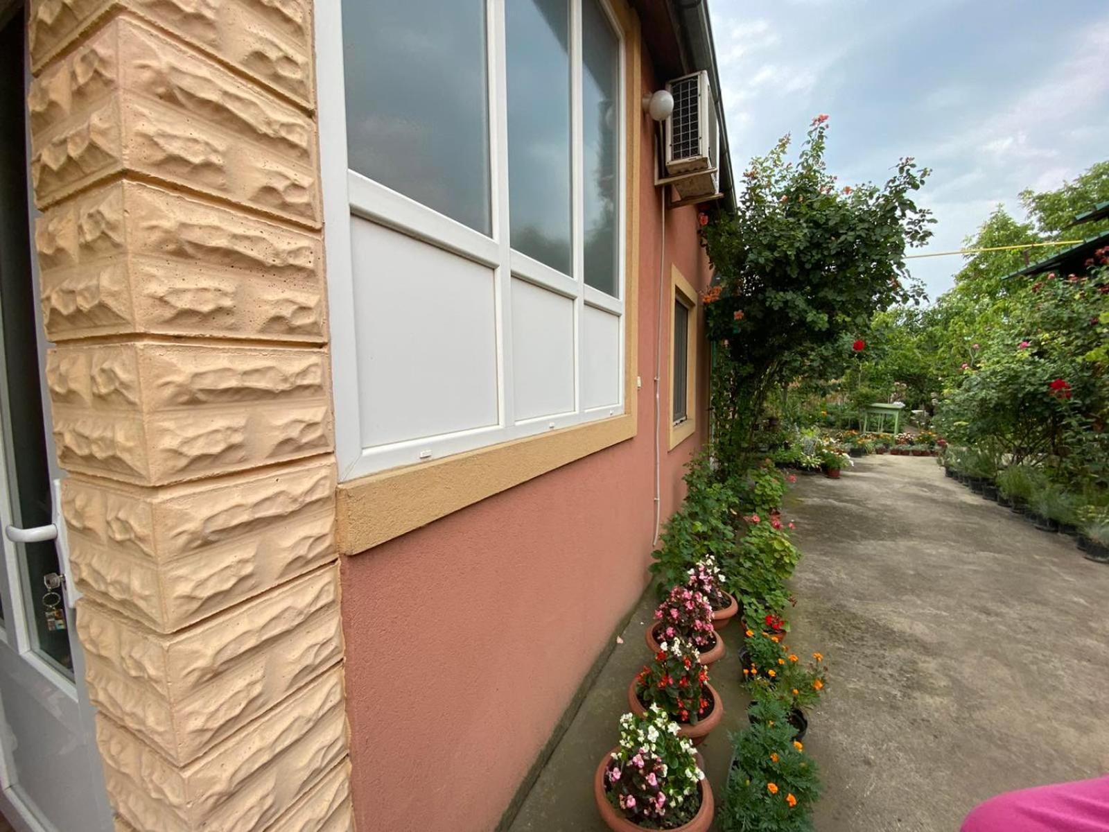 Sud ,,Antal I Olga,, Bed and Breakfast Skorenovac Δωμάτιο φωτογραφία